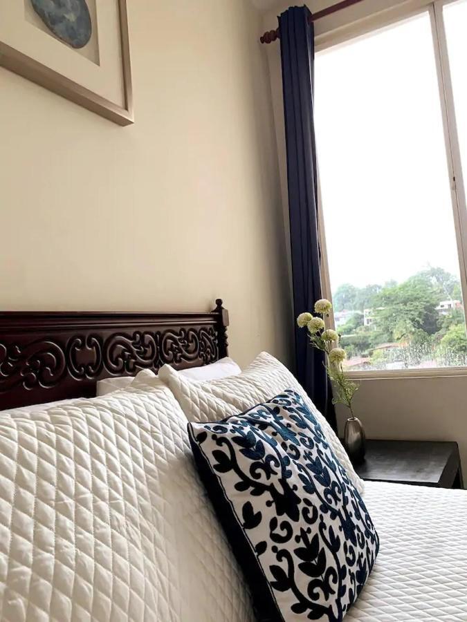Beautiful Apartment, Terrace With Incredible View, 3 Bdr, Escalon, Exclusive, Secure San Salvador Esterno foto